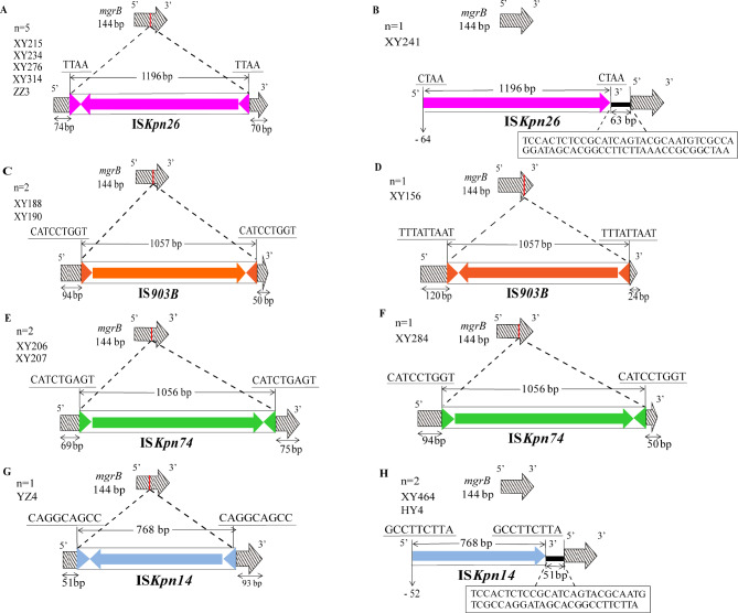 Prevalence and molecular characteristics of colistin-resistant isolates among carbapenem-resistant Klebsiella pneumoniae in Central South China: a multicenter study.