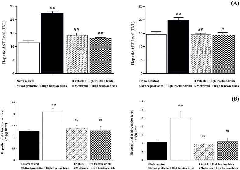 Administration of a probiotic supplement attenuates nonalcoholic fatty liver disease by reducing hepatic lipid accumulation, oxidative stress, and inflammation.