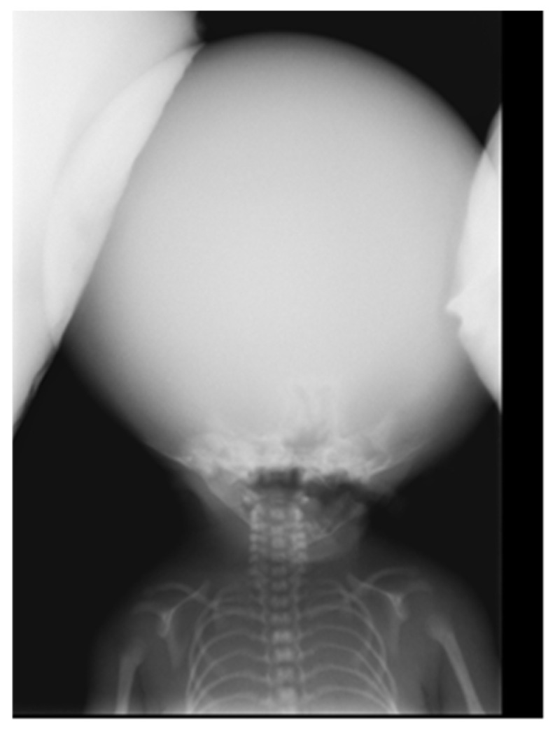 Abstract Image
