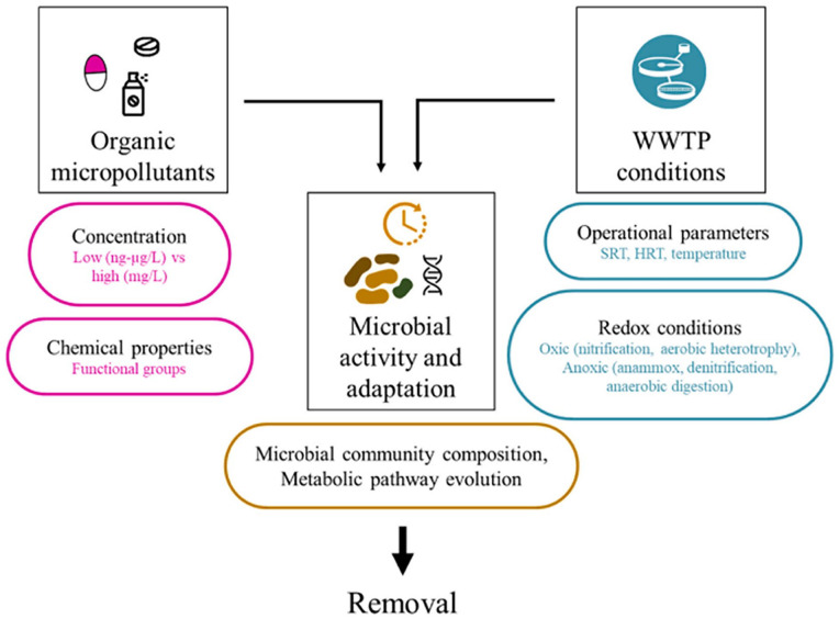 A Review on Biohazards Removal in Ethiopia: Efficacy of Existing Treatment Systems and Challenges.