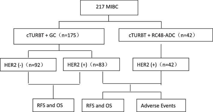 Impact of HER2 Expression on the Prognosis of Muscle-Invasive Bladder Cancer Patients Treated with Bladder-Preservation Comprehensive Therapy.