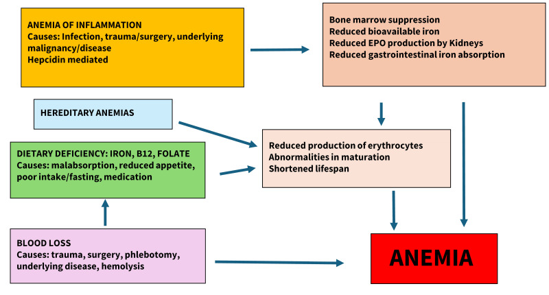 Postoperative anemia: prevention without cure is not enough.
