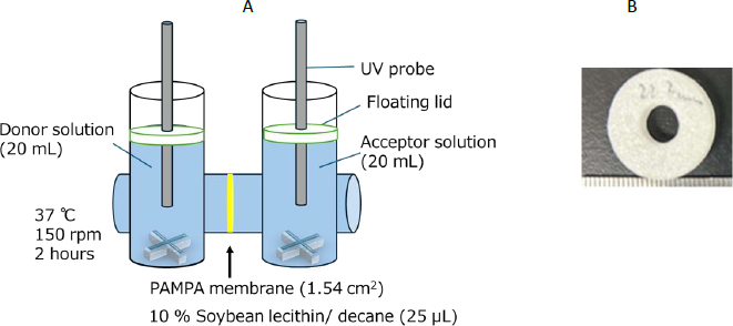 Effect of bicarbonate buffer on artificial membrane permeation of drugs.
