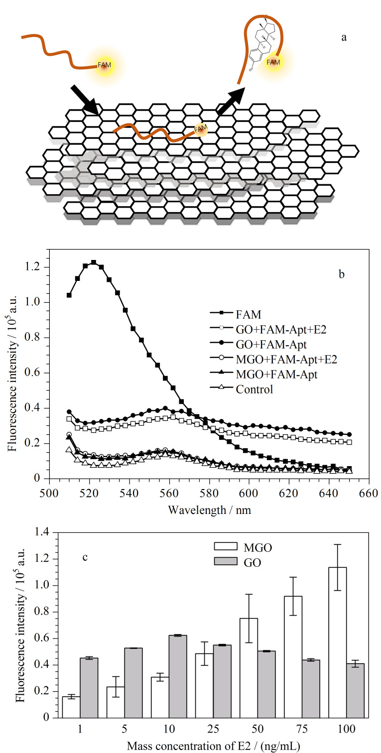 [Construction of a 17<i>β</i>-estradiol sensor based on a magnetic graphene oxide/aptamer separating material].