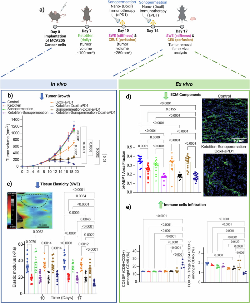 The synergistic potential of mechanotherapy and sonopermeation to enhance cancer treatment effectiveness.