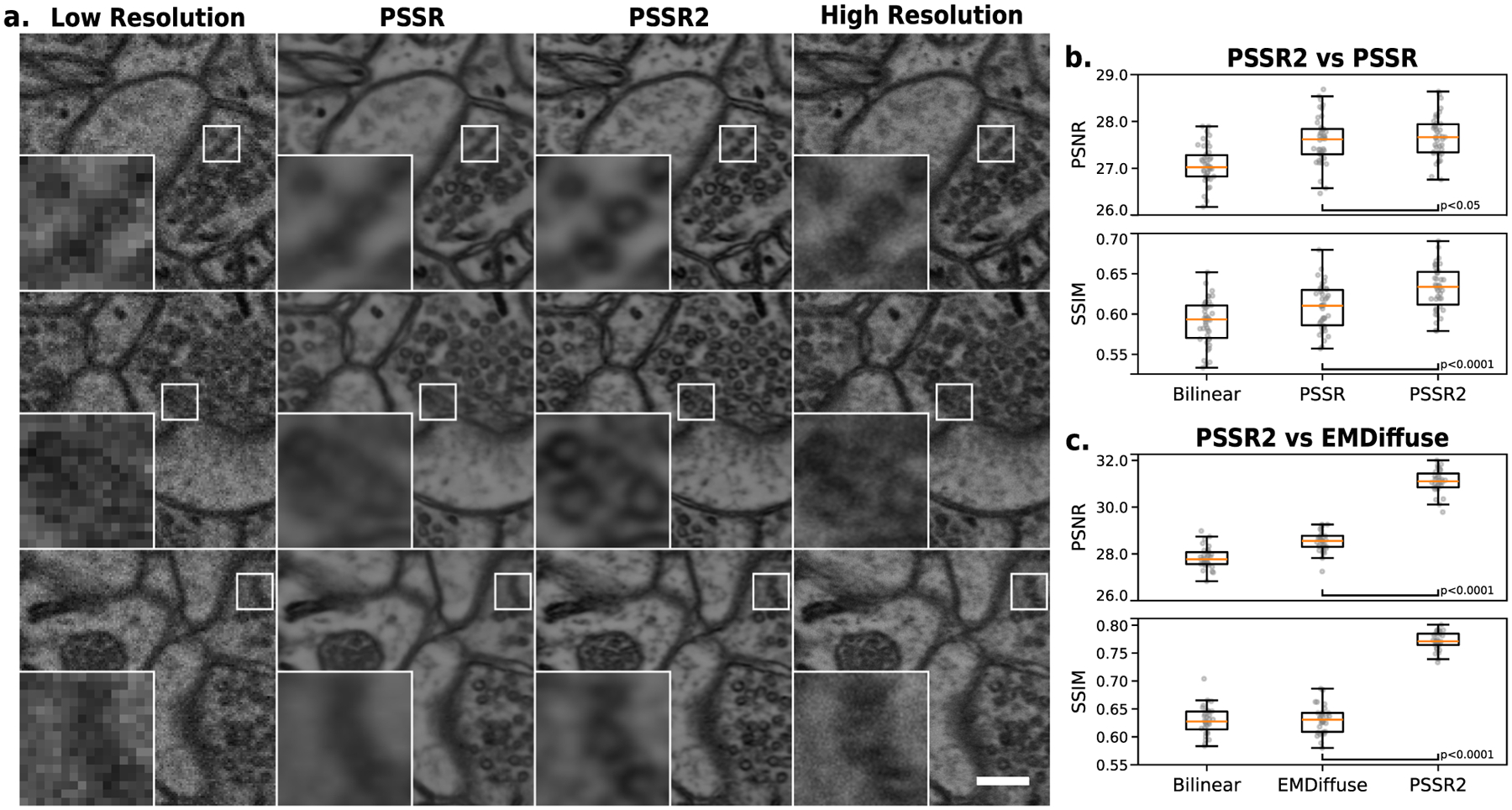 PSSR2: a user-friendly Python package for democratizing deep learning-based point-scanning super-resolution microscopy.