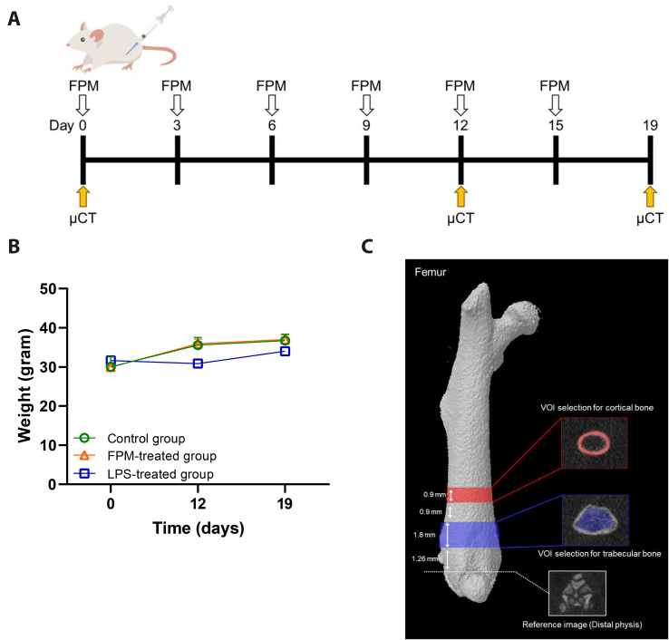Fine particulate matter induces osteoclast-mediated bone loss in mice.