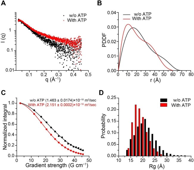 ATP promotes protein coacervation through conformational compaction.
