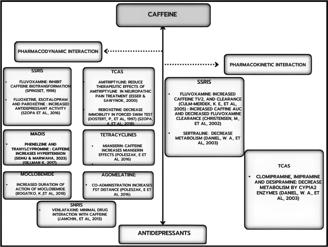 An Exploration of the Interplay Between Caffeine and Antidepressants Through the Lens of Pharmacokinetics and Pharmacodynamics.