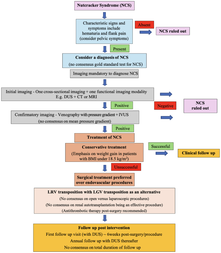 Nutcracker syndrome (a Delphi consensus)