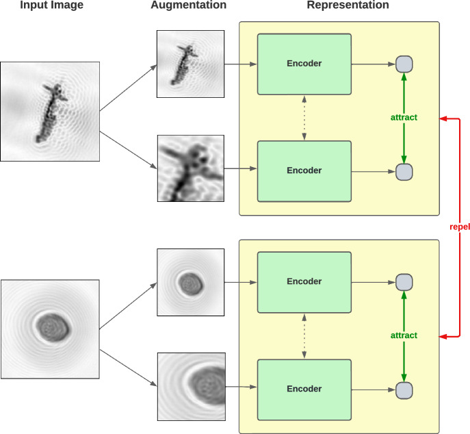 Self-supervised and few-shot learning for robust bioaerosol monitoring