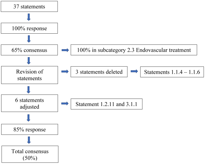 Nutcracker syndrome (a Delphi consensus)