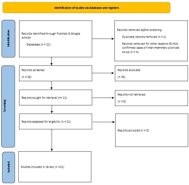 A scoping review on clinicopathological characteristics, diagnosis, and management of intermammary pilonidal sinus disease.