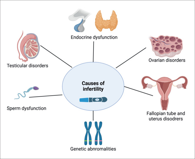 Infertility - a Great Challenge of the Past, Present, and Future.