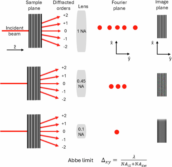 From superior contrast to super resolution label free optical microscopy.