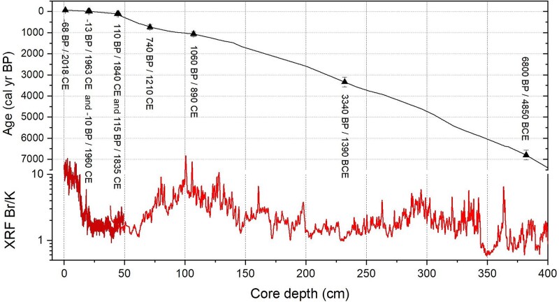 Resurrection of a diatom after 7000 years from anoxic Baltic Sea sediment.