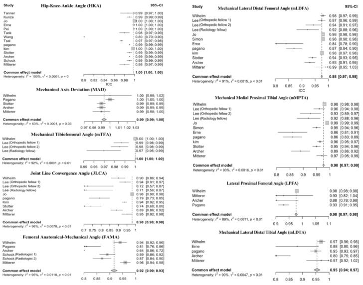 Can Artificial Intelligence Reliably and Accurately Measure Lower Limb Alignment: A Systematic Review and Meta-Analysis.