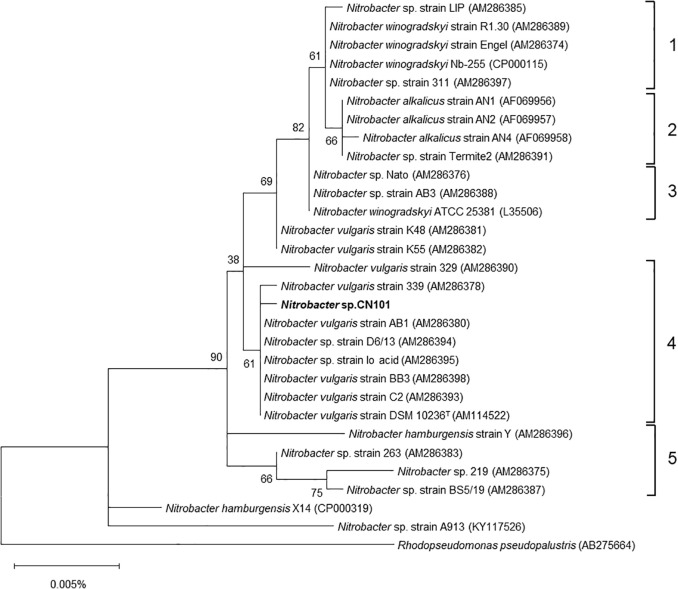Physiological and Genomic Characterization of Oligotrophic Nitrobacter Isolated from a Forest Soil in Japan.