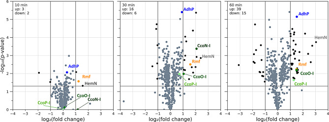 Bioprocess exploitation of microaerobic auto-induction using the example of rhamnolipid biosynthesis in Pseudomonas putida KT2440.