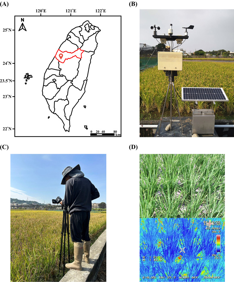 Assessing water status in rice plants in water-deficient environments using thermal imaging.