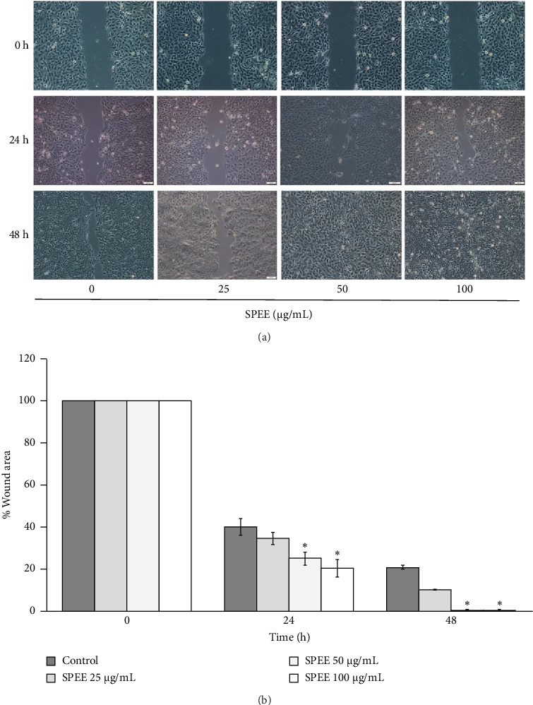 <i>Sargassum plagiophyllum</i> Ethanolic Extract Enhances Wound Healing by Modulating FAK/Src/Akt/p38 and Rac1 Signaling in Keratinocytes HaCaT Cells.