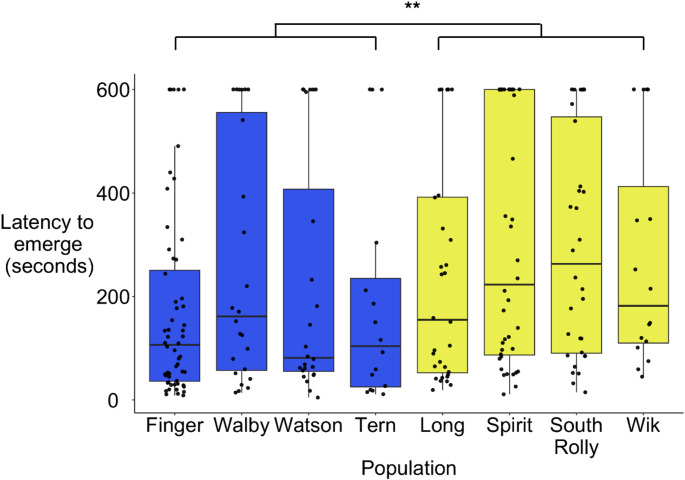 Collective behavior diverges independently of the benthic-limnetic axis in stickleback.