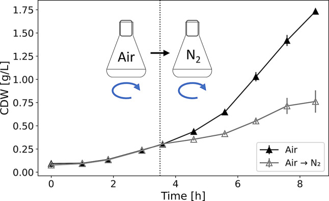 Bioprocess exploitation of microaerobic auto-induction using the example of rhamnolipid biosynthesis in Pseudomonas putida KT2440.
