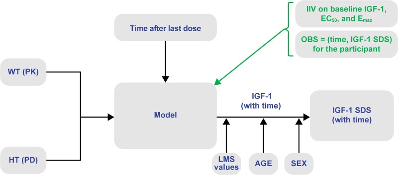 IGF-1 Assessment During Weekly Somatrogon Treatment in Pediatric Patients With GH Deficiency.
