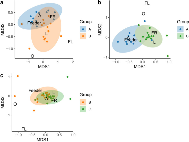 The presence of experienced individuals enhance the behavior and survival of reintroduced woolly monkeys in Colombia.