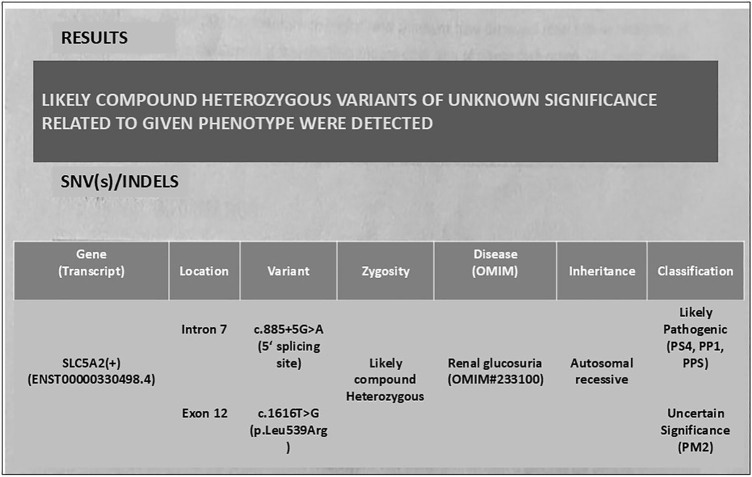 Isolated renal glucosuria due to SLC5A2 gene mutation: a rare presentation.