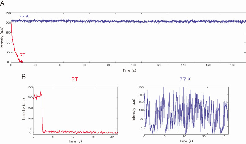 Cryogenic single-molecule fluorescence imaging.