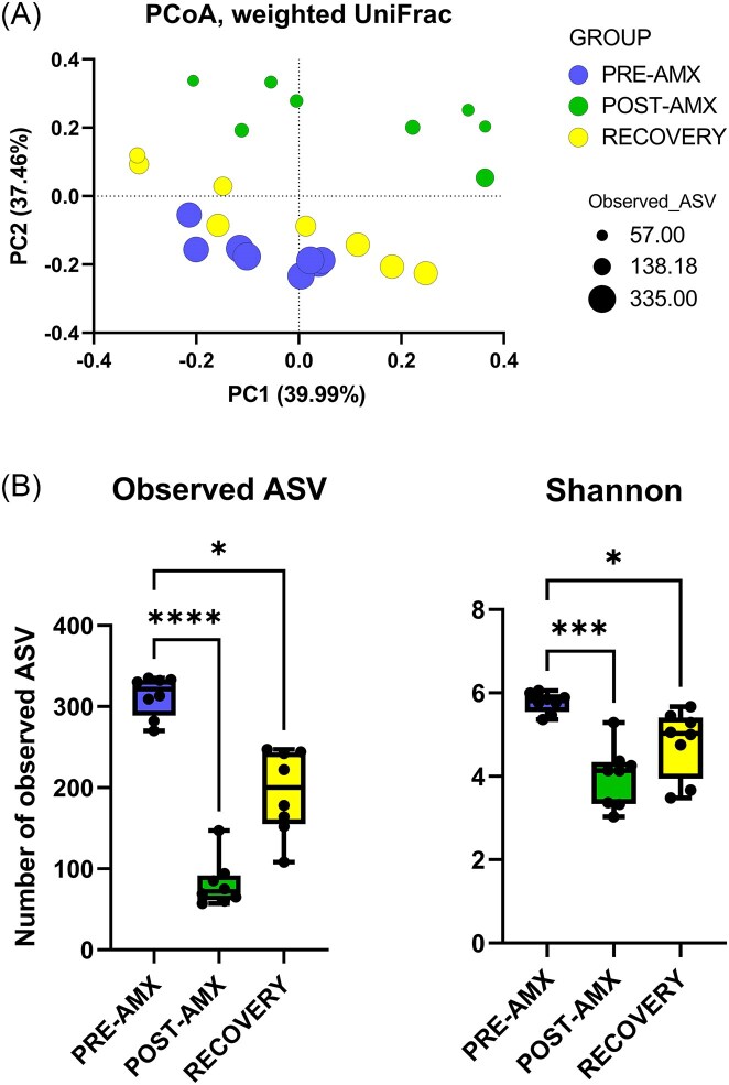 Oral amoxicillin treatment disrupts the gut microbiome and metabolome without interfering with luminal redox potential in the intestine of Wistar Han rats.