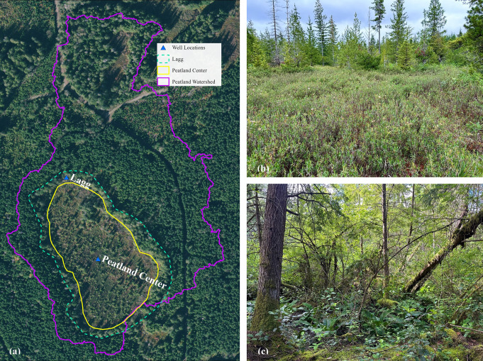 Hydrogeochemical and Vegetation Characterization of <i>Sphagnum</i>-dominated Peatlands in the Puget Lowlands of Washington State, USA.