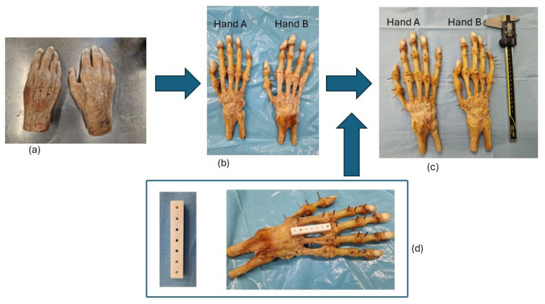 Dimensional Accuracy Assessment of Medical Anatomical Models Produced by Hospital-Based Fused Deposition Modeling 3D Printer.