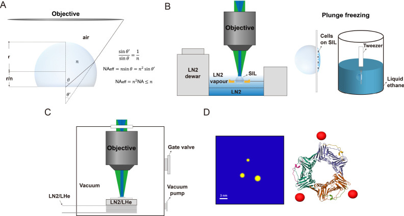Cryogenic single-molecule fluorescence imaging.