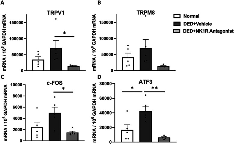 Topical neurokinin-1 receptor antagonism ameliorates ocular pain and prevents corneal nerve degeneration in an animal model of dry eye disease.