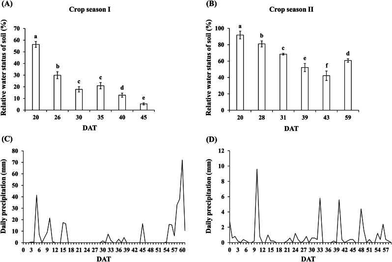 Assessing water status in rice plants in water-deficient environments using thermal imaging.