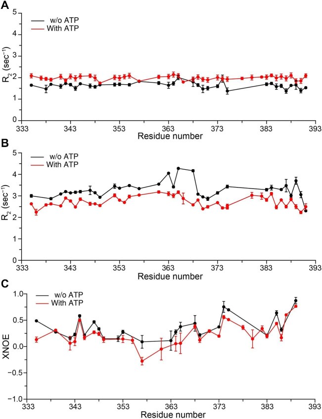 ATP promotes protein coacervation through conformational compaction.