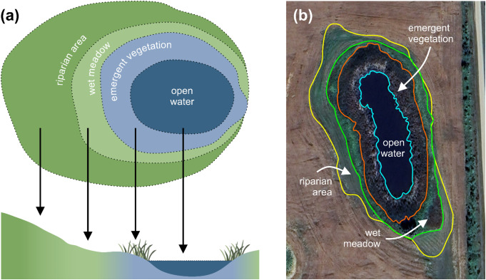 Factors Regulating the Potential for Freshwater Mineral Soil Wetlands to Function as Natural Climate Solutions.