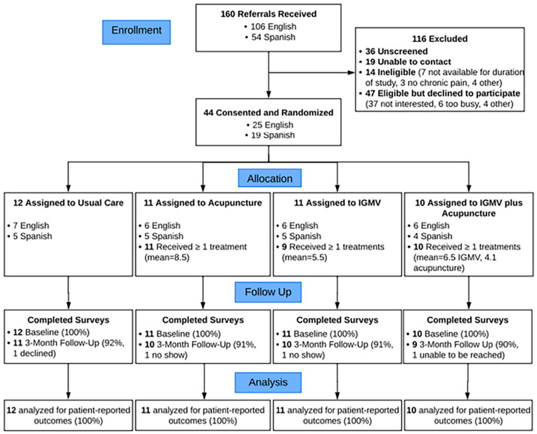 Group-Based Integrative Pain Management: Feasibility of a Factorial Randomized Trial in Safety-Net Primary Care.