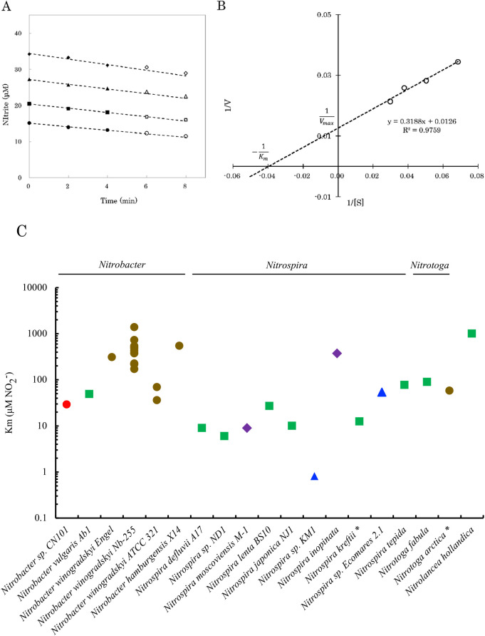 Physiological and Genomic Characterization of Oligotrophic Nitrobacter Isolated from a Forest Soil in Japan.