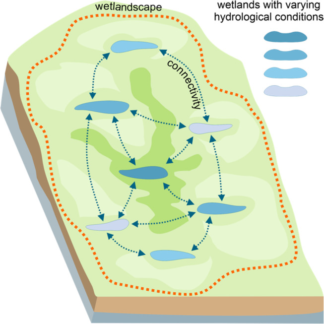 Factors Regulating the Potential for Freshwater Mineral Soil Wetlands to Function as Natural Climate Solutions.
