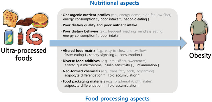 Ultra-Processed Food Consumption and Obesity: A Narrative Review of Their Association and Potential Mechanisms.