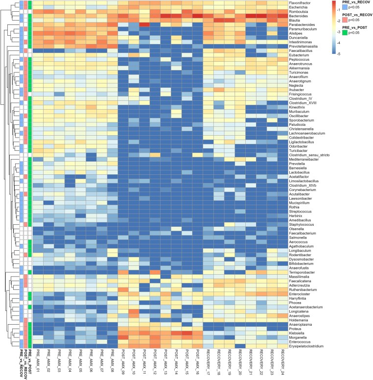 Oral amoxicillin treatment disrupts the gut microbiome and metabolome without interfering with luminal redox potential in the intestine of Wistar Han rats.