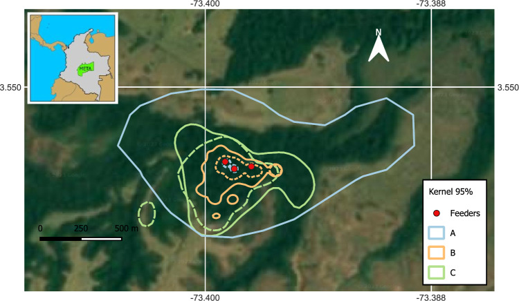 The presence of experienced individuals enhance the behavior and survival of reintroduced woolly monkeys in Colombia.