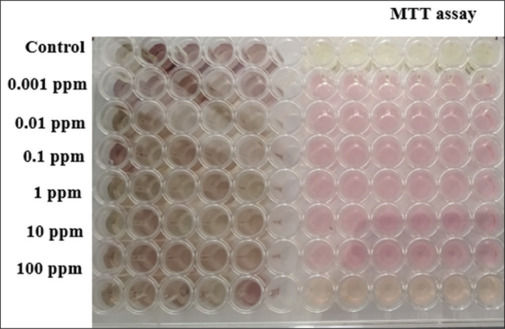 Effect of titanium nanoparticles on cytotoxicity and expression of matrix metalloproteinase-8 in human periodontal ligament fibroblasts - An <i>in vitro</i> study.