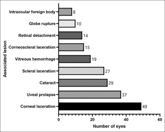 Epidemiology and Visual Outcome of Pediatric Ocular Trauma in a Major Tertiary Eye Center in Tunisia: A 6-Year Retrospective Study.
