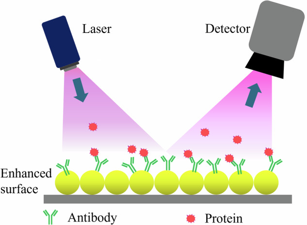 Optical biosensors for diagnosing neurodegenerative diseases.