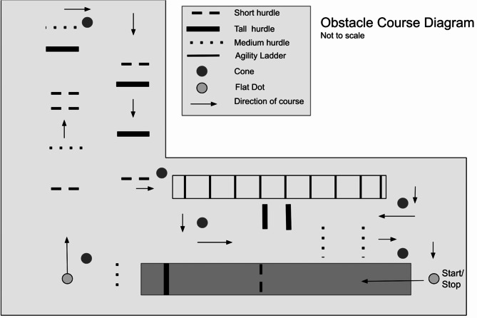 Improving locomotor performance with motor imagery and tDCS in young adults.