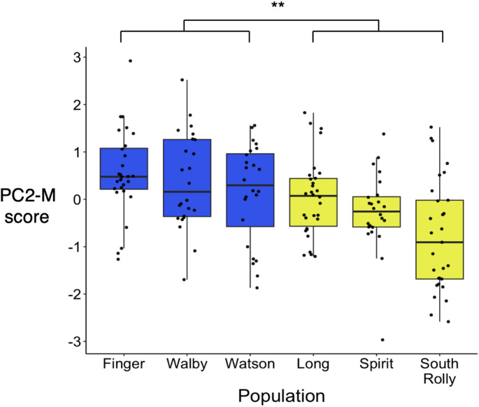 Collective behavior diverges independently of the benthic-limnetic axis in stickleback.